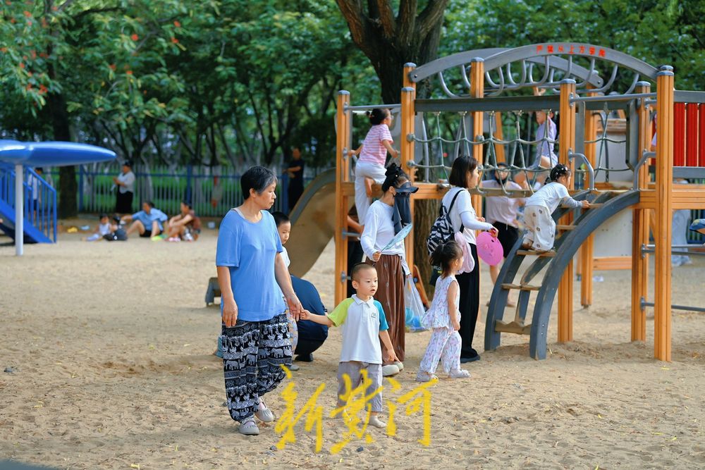 济南森林公园成遛娃宝地，绿荫里藏满清凉与欢笑
