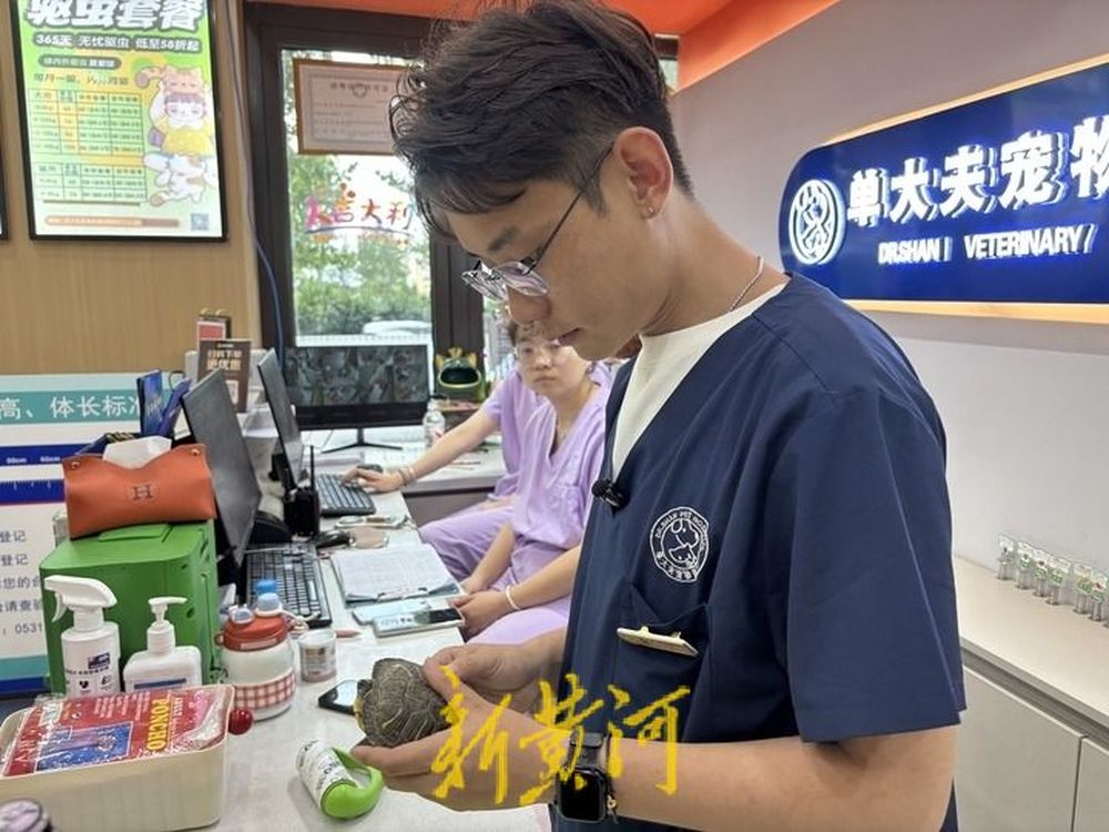 异宠医生的一天是啥样？山东这家宠物医院里，他为巴西龟打针，给水豚治胃肠炎