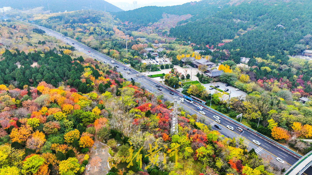 旅游路开启冬季颜值巅峰期