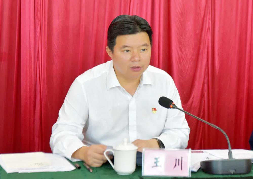 提拔未果的县委书记王川，对抗组织审查，隐瞒不报个人有关事项、不如实向组织说明问题
