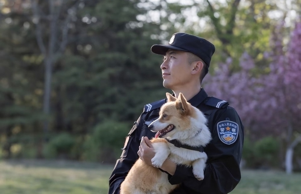 网红柯基警犬“空降”泉城，搜爆、搜毒“百发百中”