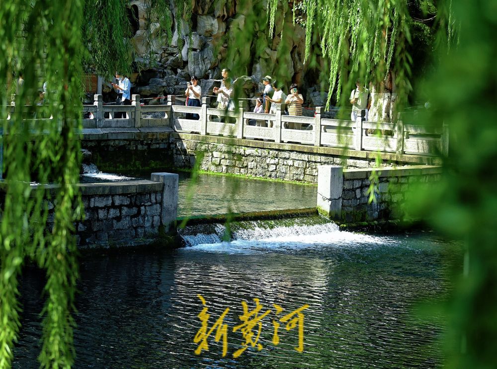 一场秋雨过后，济南黑虎泉水位迎新高，“黑虎啸月”响震天