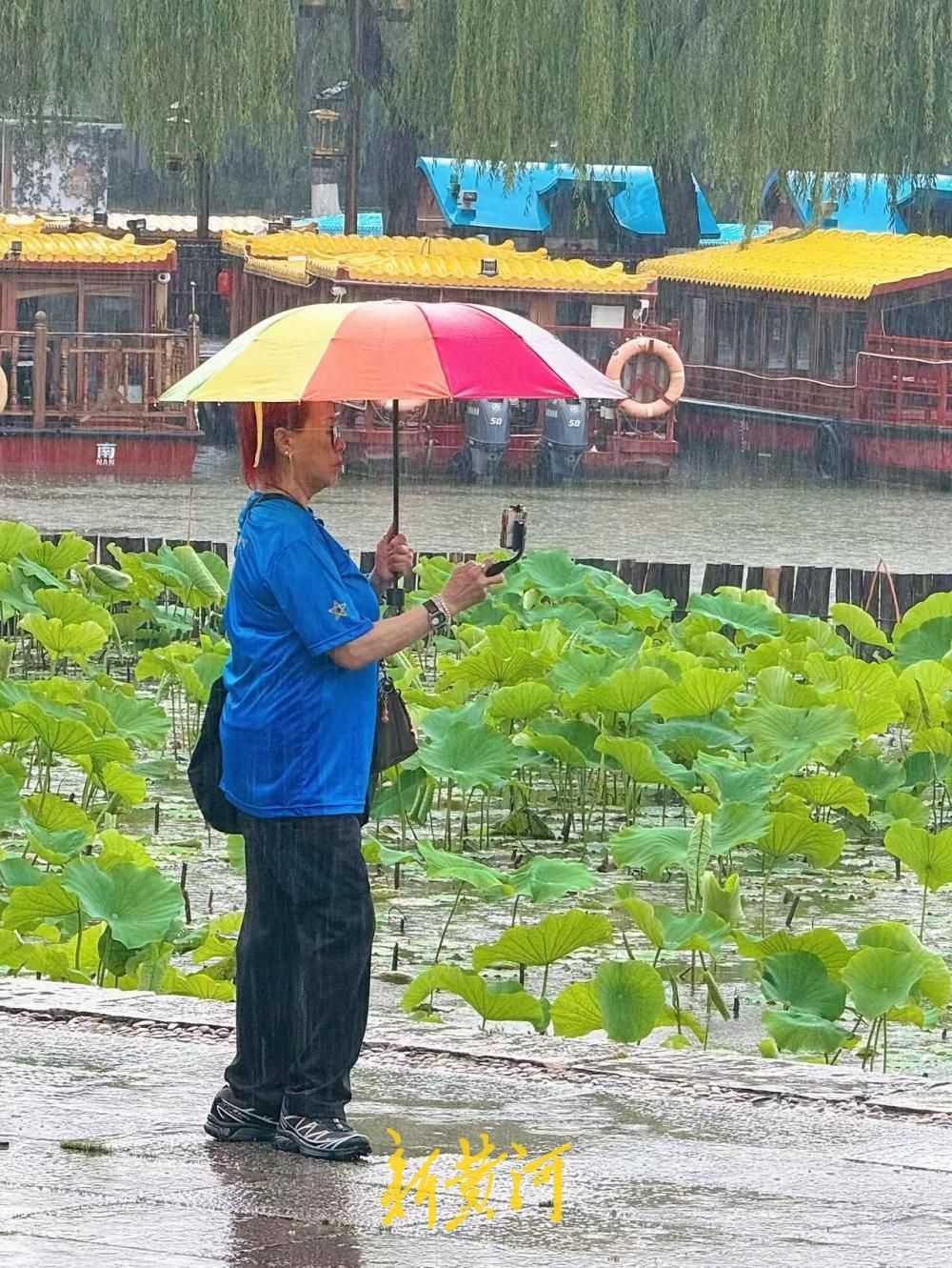 雨润明湖荷韵浓 济南烟雨风光醉游人