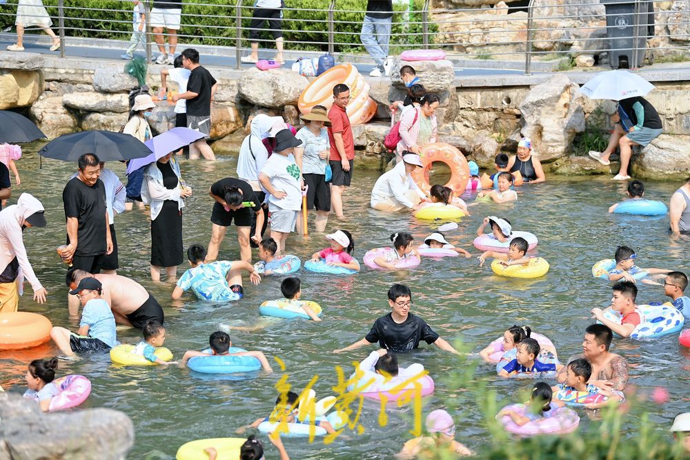泉城中伏迎高温 济南市民小型湿地里戏水消夏