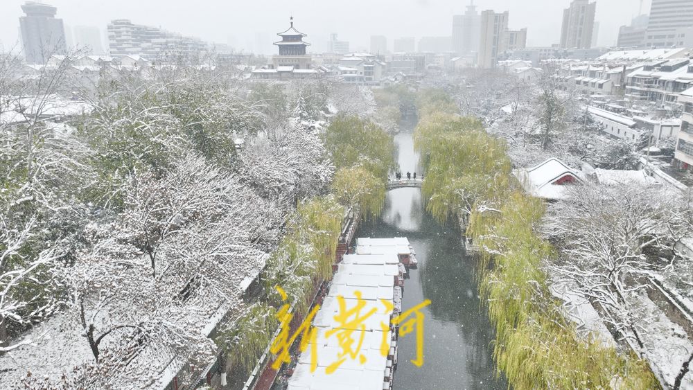 泉城冬雪映碧水，玉柳琼枝入画来