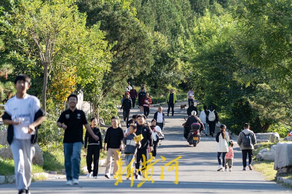 登高望远！秋入蟠龙山，尽享泉城美景