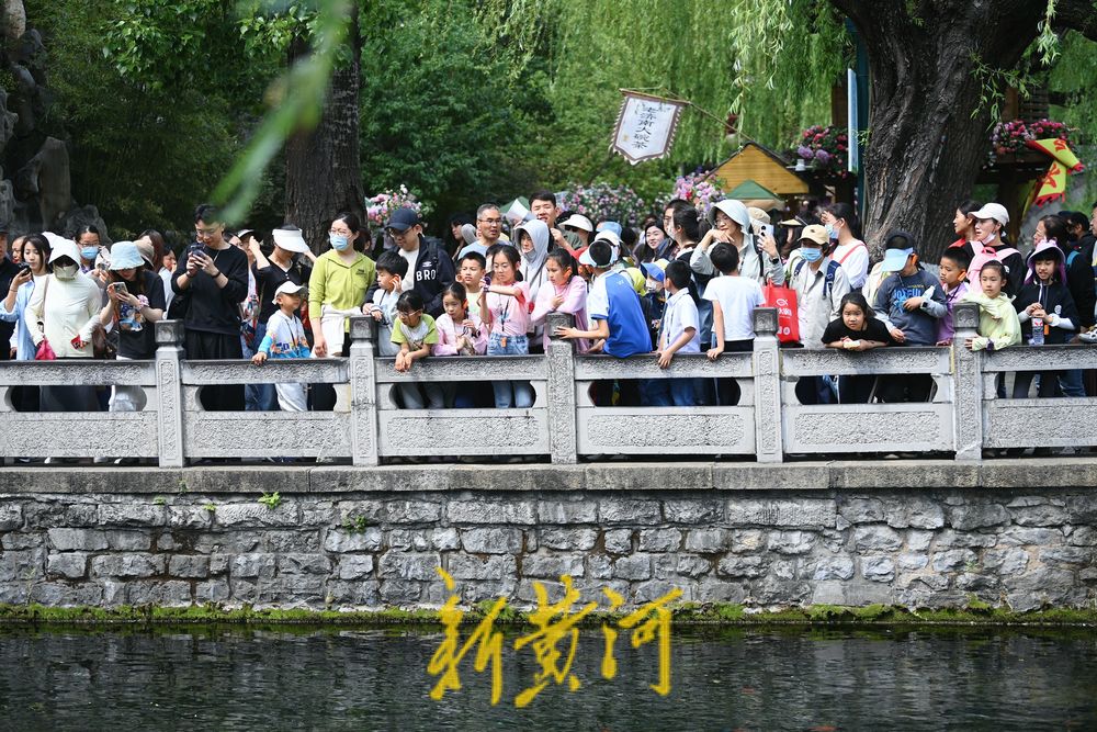人潮涌动!护城河畔泉水游持续升温 - 济南社会 - 舜网新闻