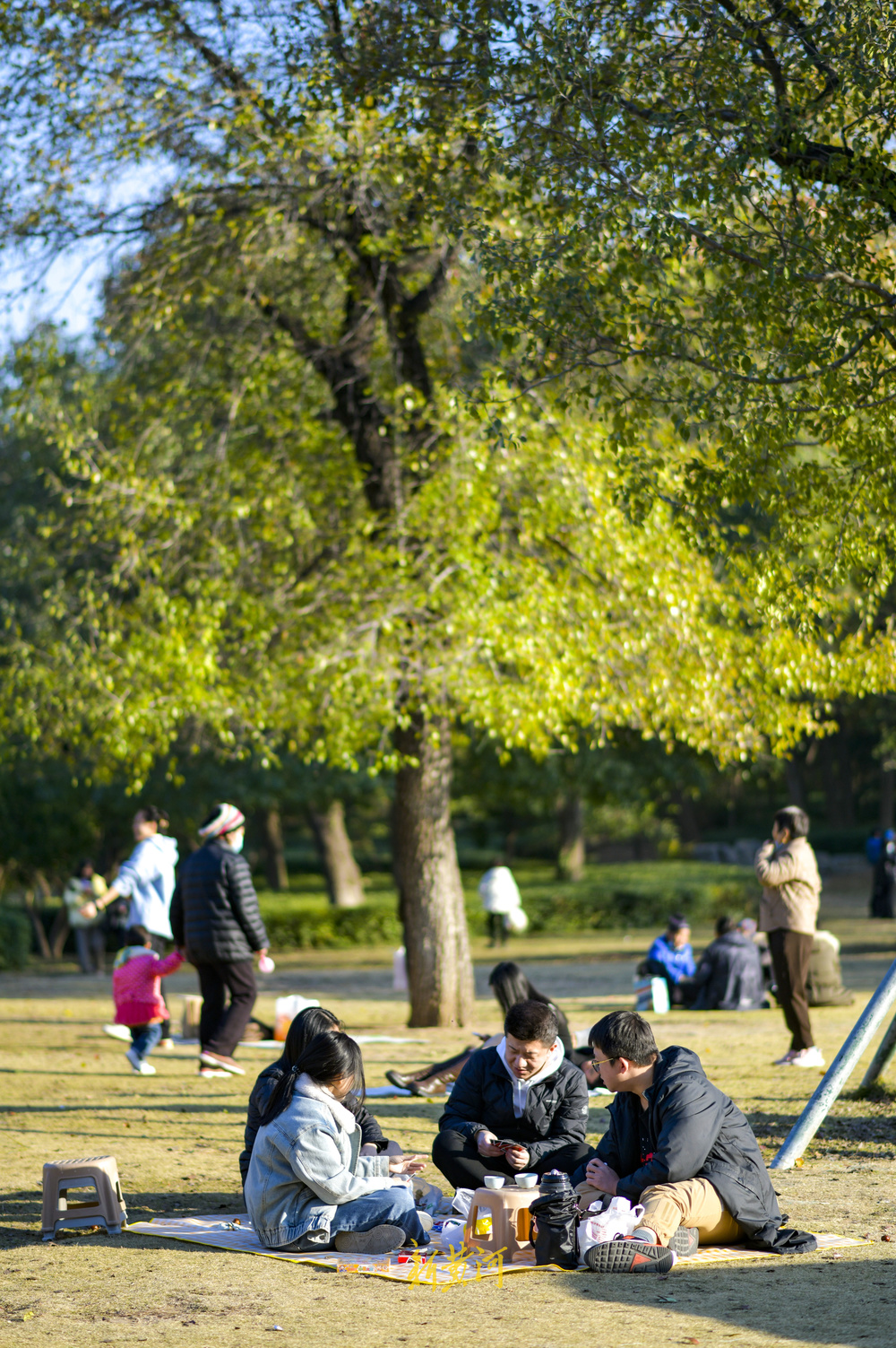 气温回升秋去秋又回  最美共享绿地感受初冬暖阳