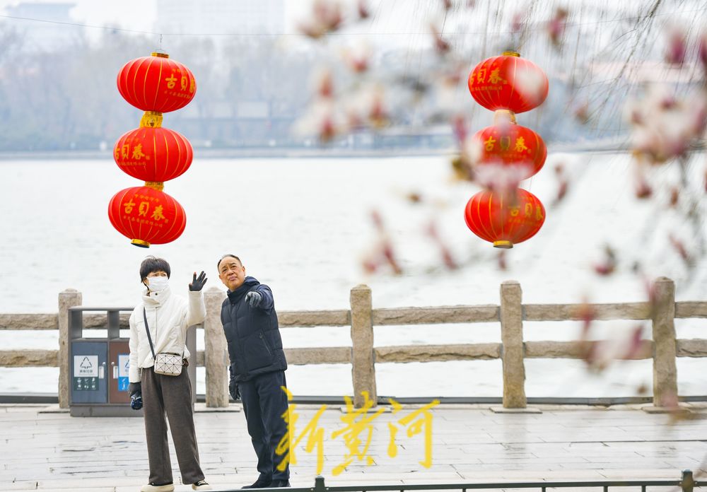 正月里繁花似锦，济南大明湖玉兰花挂满枝头