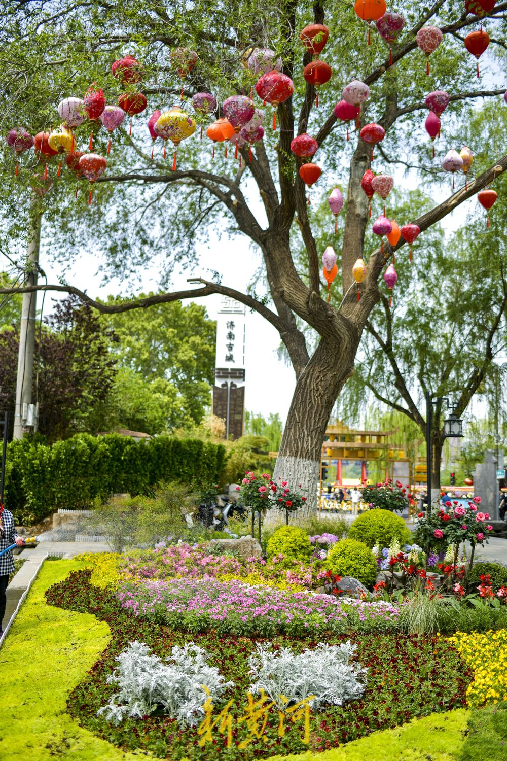老城街巷里的“莫奈花园” 感受限定版的古城浪漫   