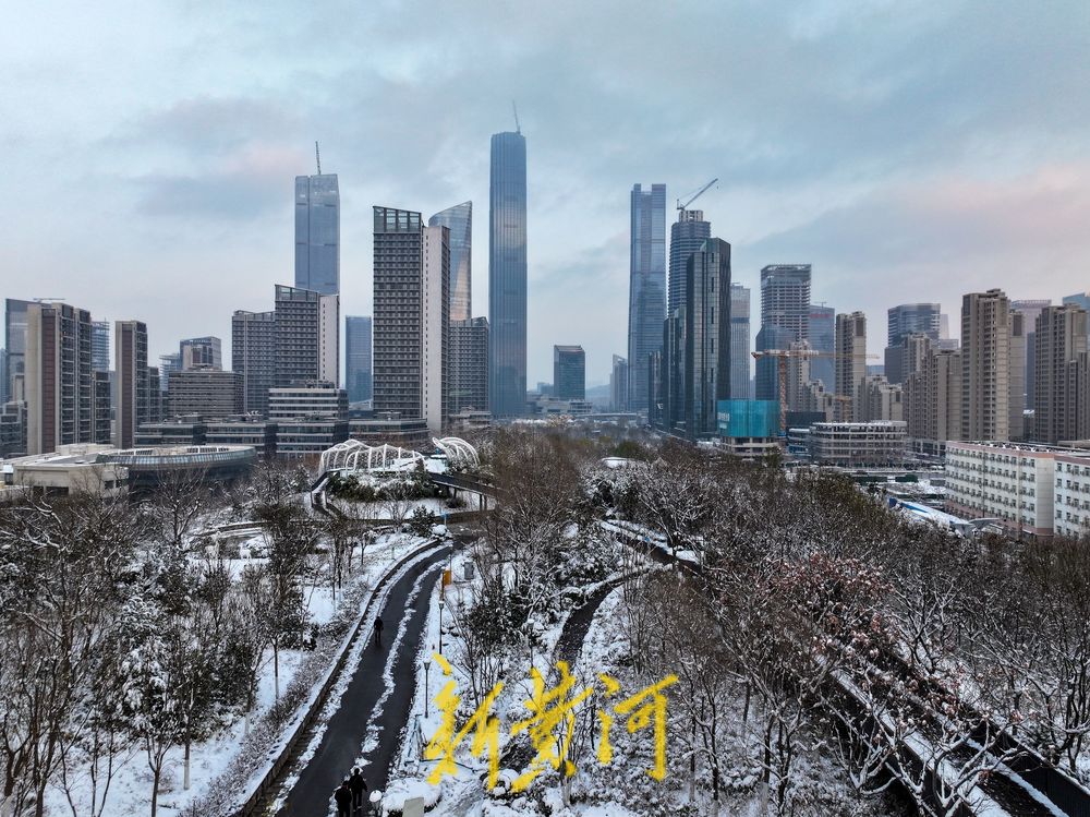 都市山林，冬韵天成！济南CBD上演冬日限定大片