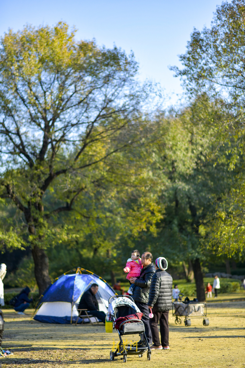 气温回升秋去秋又回  最美共享绿地感受初冬暖阳