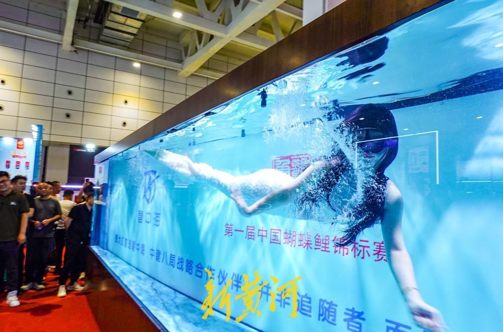 济南一水族用品展会参展商促销出奇招 巨型鱼缸里惊现“美人鱼”