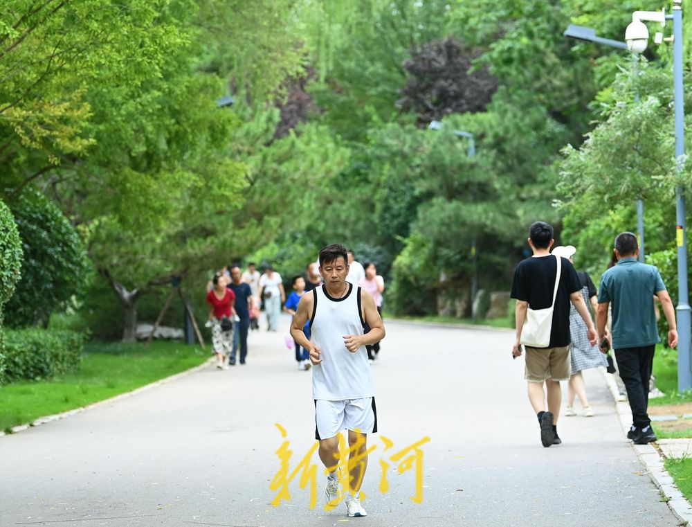 漫步森林公园树荫小道 感受初秋的清凉