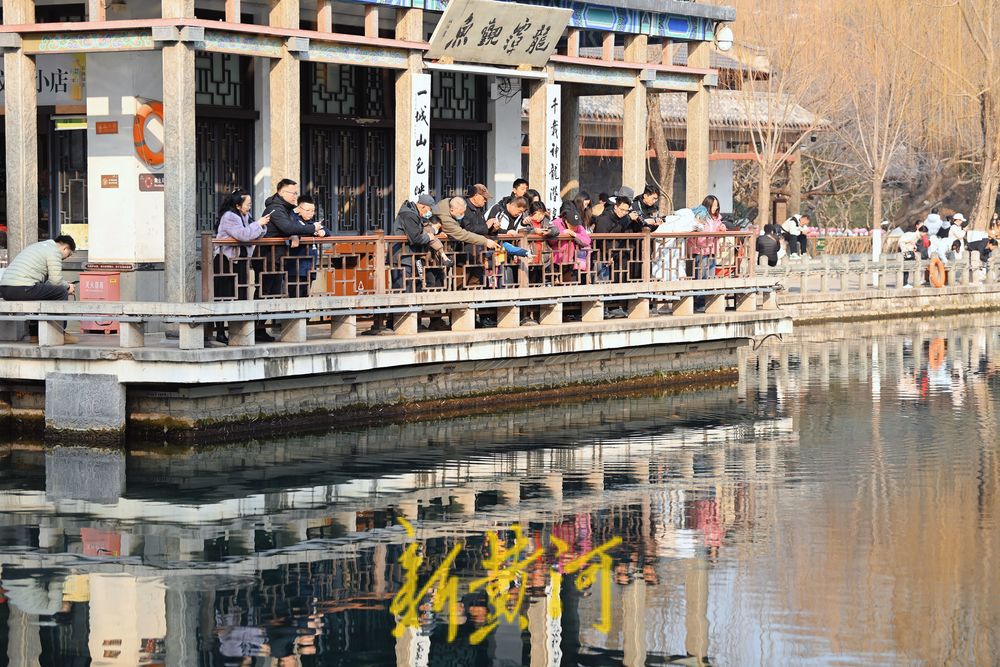 腊月暖如春，济南五龙潭游人如织欢乐多 