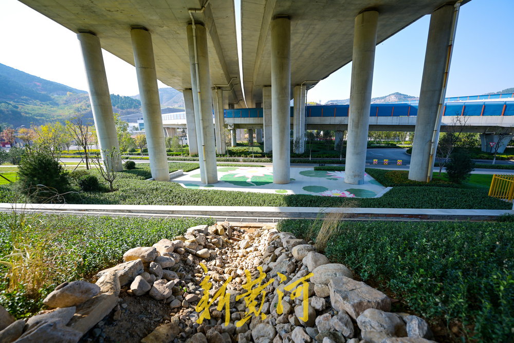 二环高架下新增荷花彩绘主题景观带