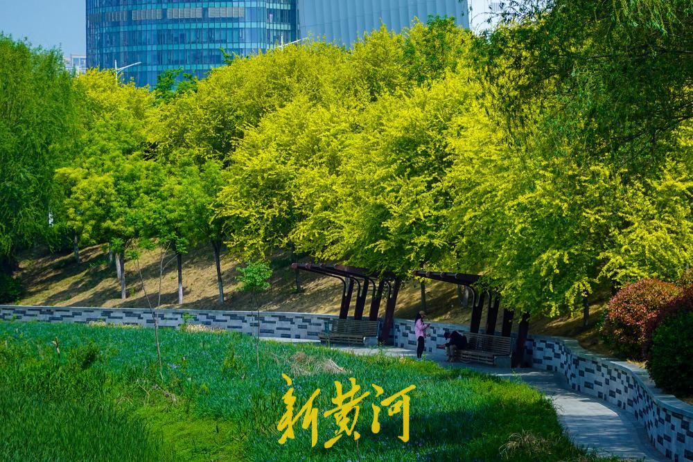 水清岸绿鸟归来，看济南腊山河畔的华丽蝶变