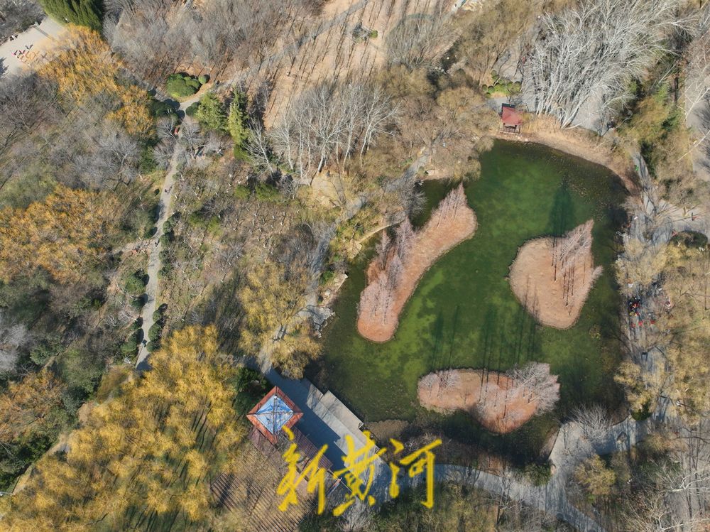 色彩斑斓！初春的济南森林公园生机勃勃