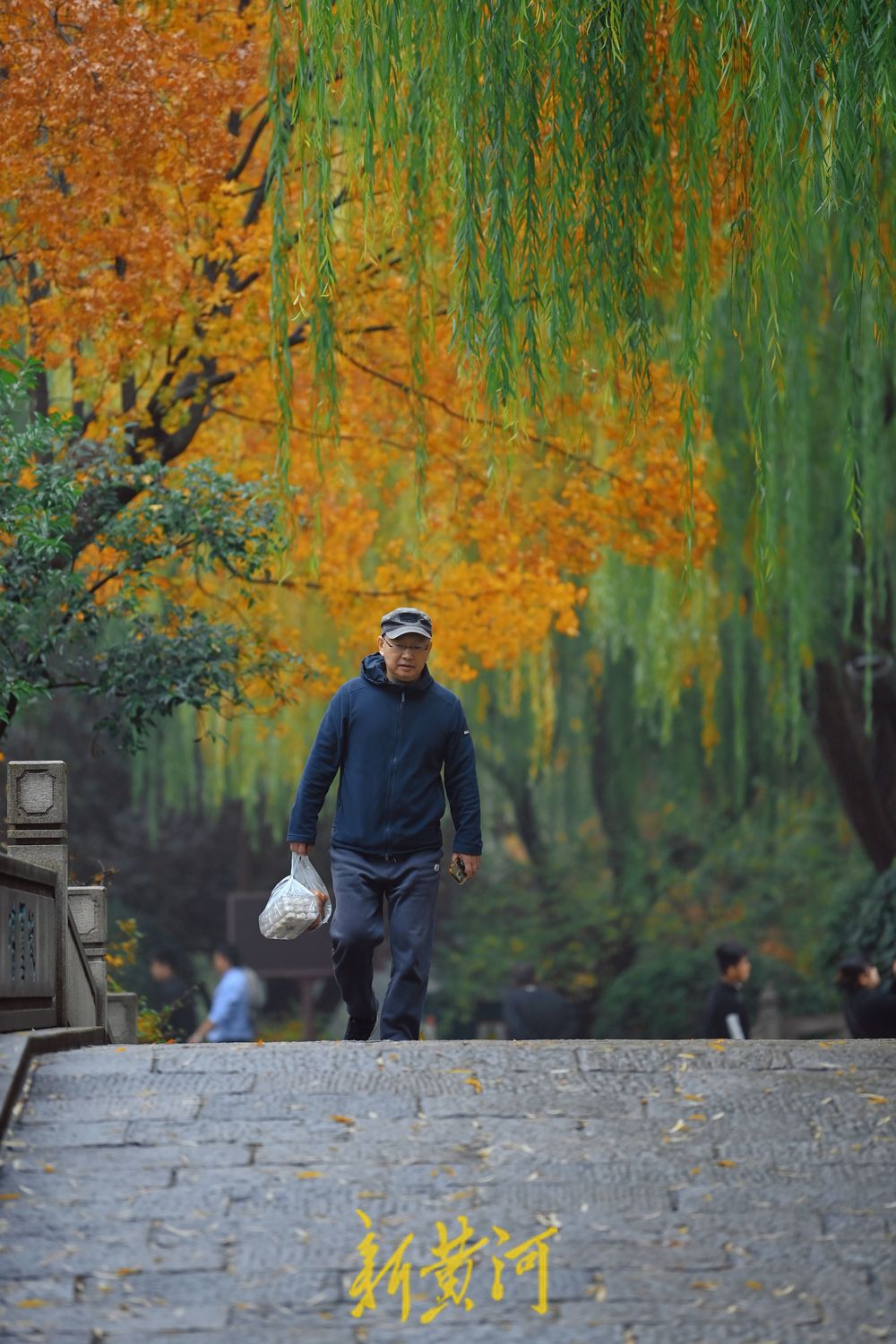 雨后大明湖，冬雾中更显宁静与祥和