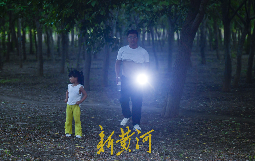 又到了摸知了猴的季节，树林里到处闪着手电筒的光