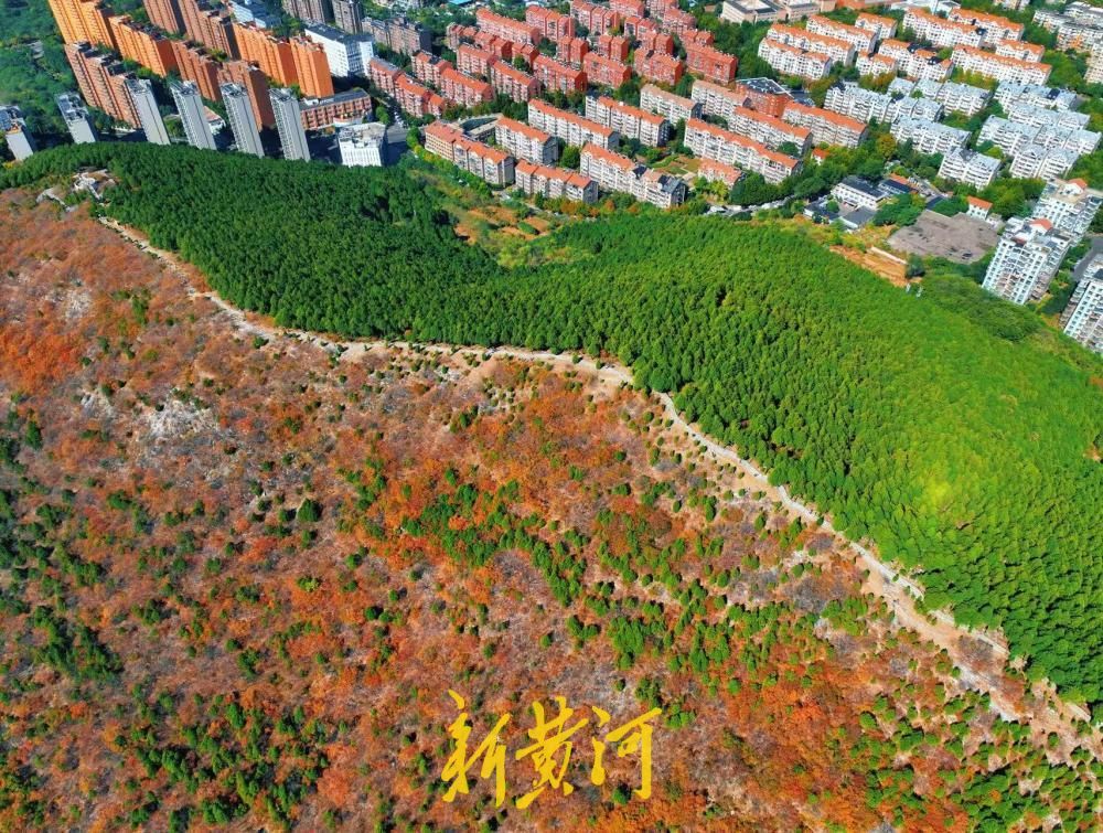 深秋赏叶，济南蝎子山“鸳鸯锅”上线