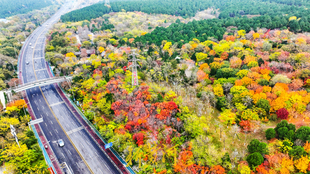 旅游路开启冬季颜值巅峰期