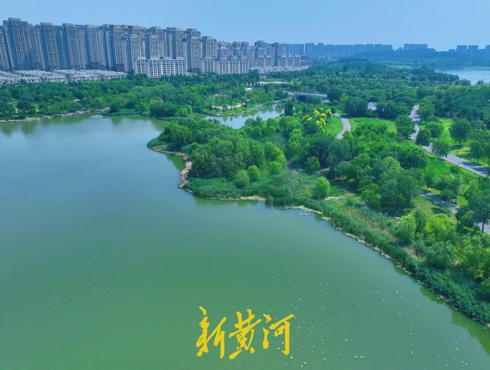 藏在济南的避暑圣地 华山湖畔绿意正盛遮酷暑