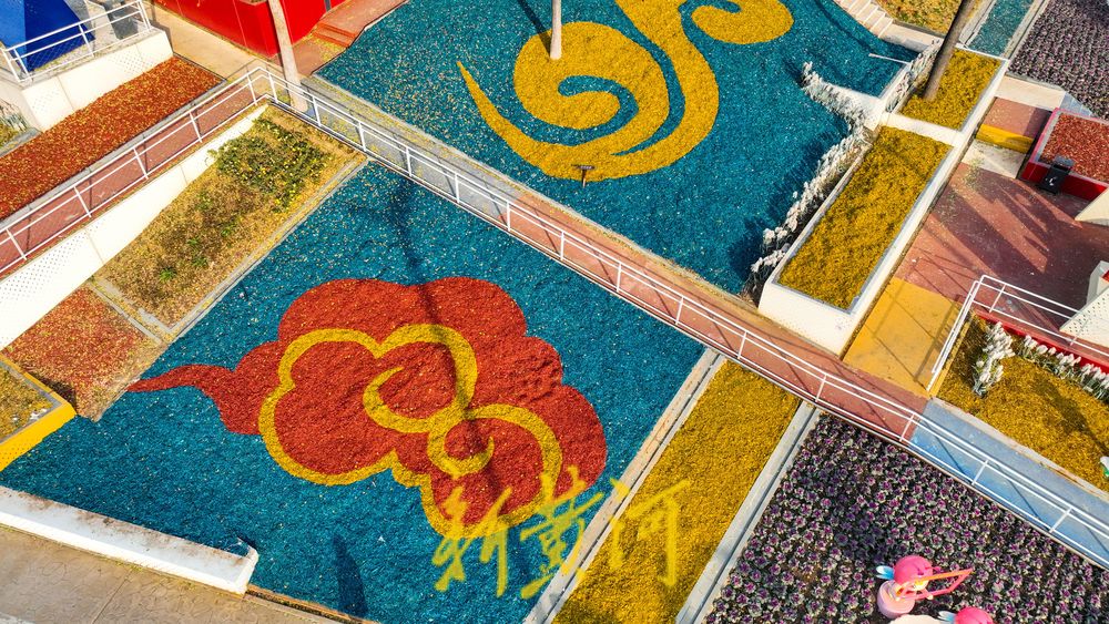 济南这处七彩花田迎来冬季版