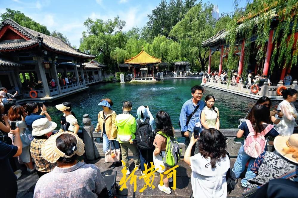 初夏泉韵浓，趵突泉水位迎来“五连涨”