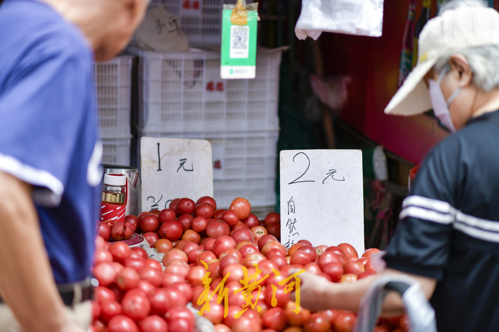 济南蔬菜15涨27降25平，青叶类价格进一步回落  