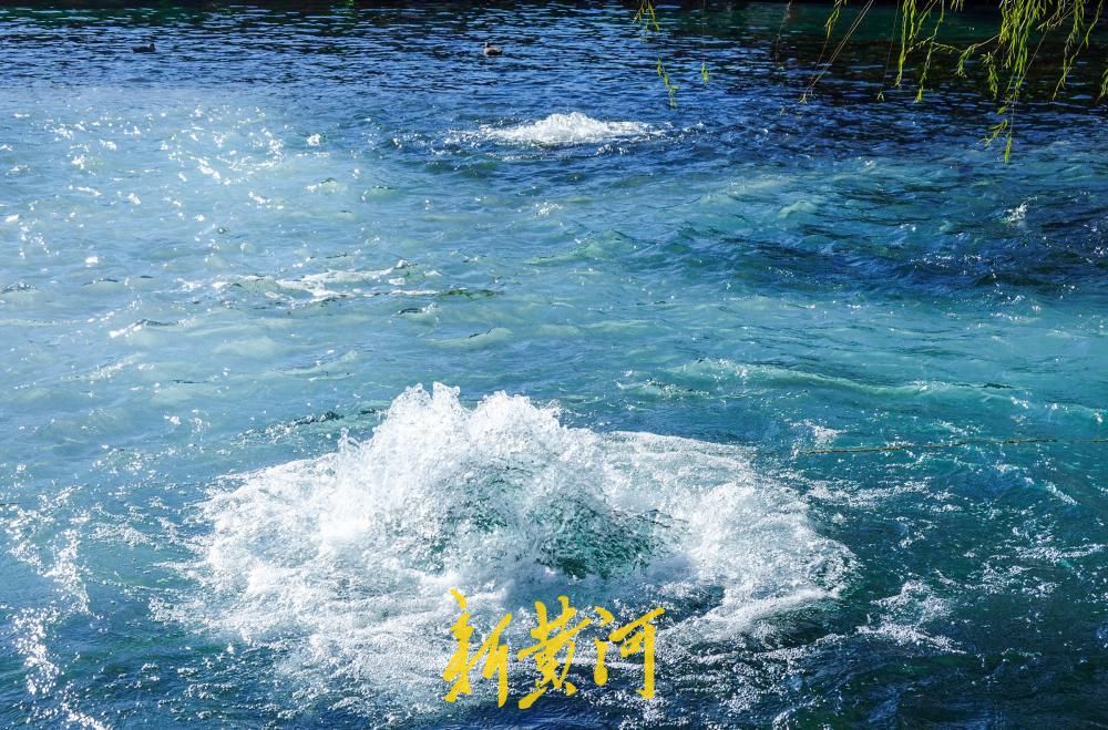 五泉齐涌如梅绽，国庆假期百脉泉公园梅花泉盛涌迎客