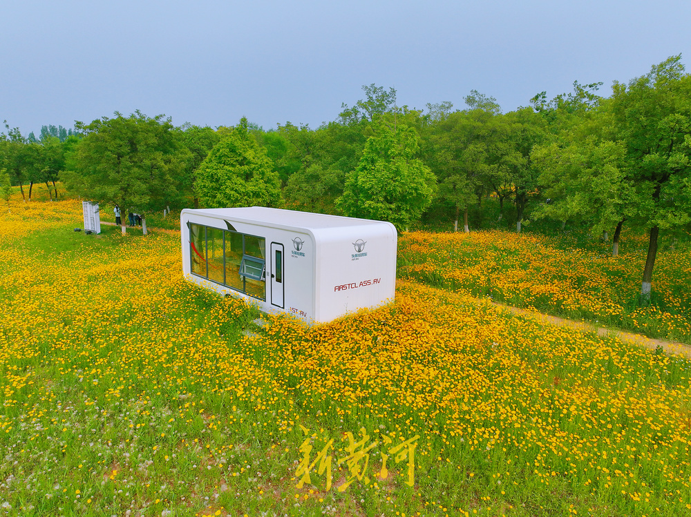 济西湿地初夏美得醉人，谁看了都想去那“洗”肺