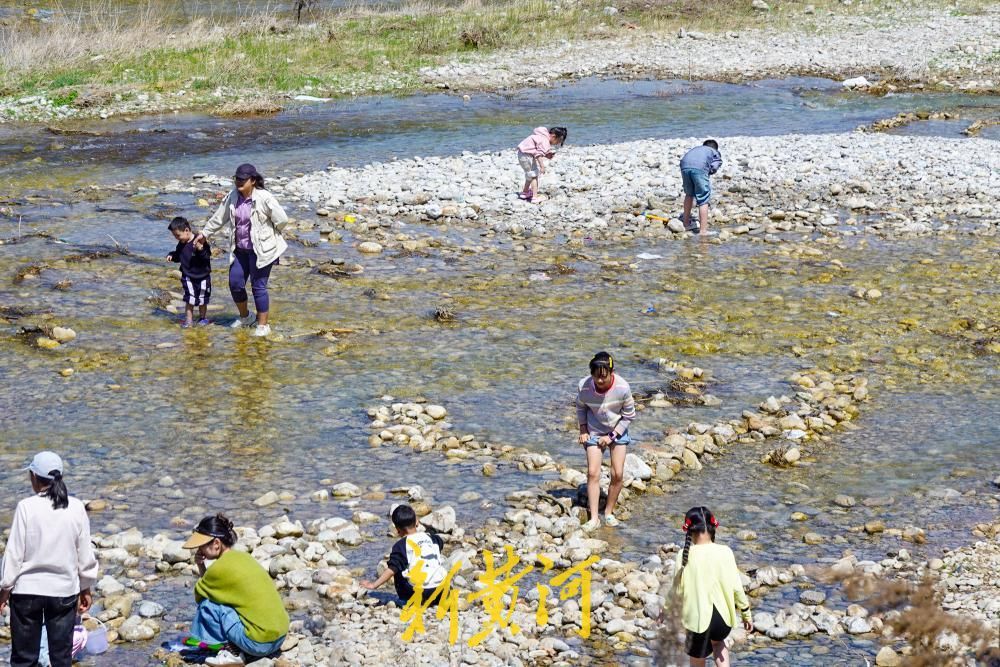 济南：近郊河道开启亲水“赶海”季