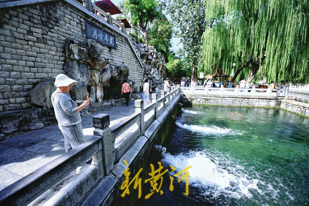一场秋雨过后，济南黑虎泉水位迎新高，“黑虎啸月”响震天