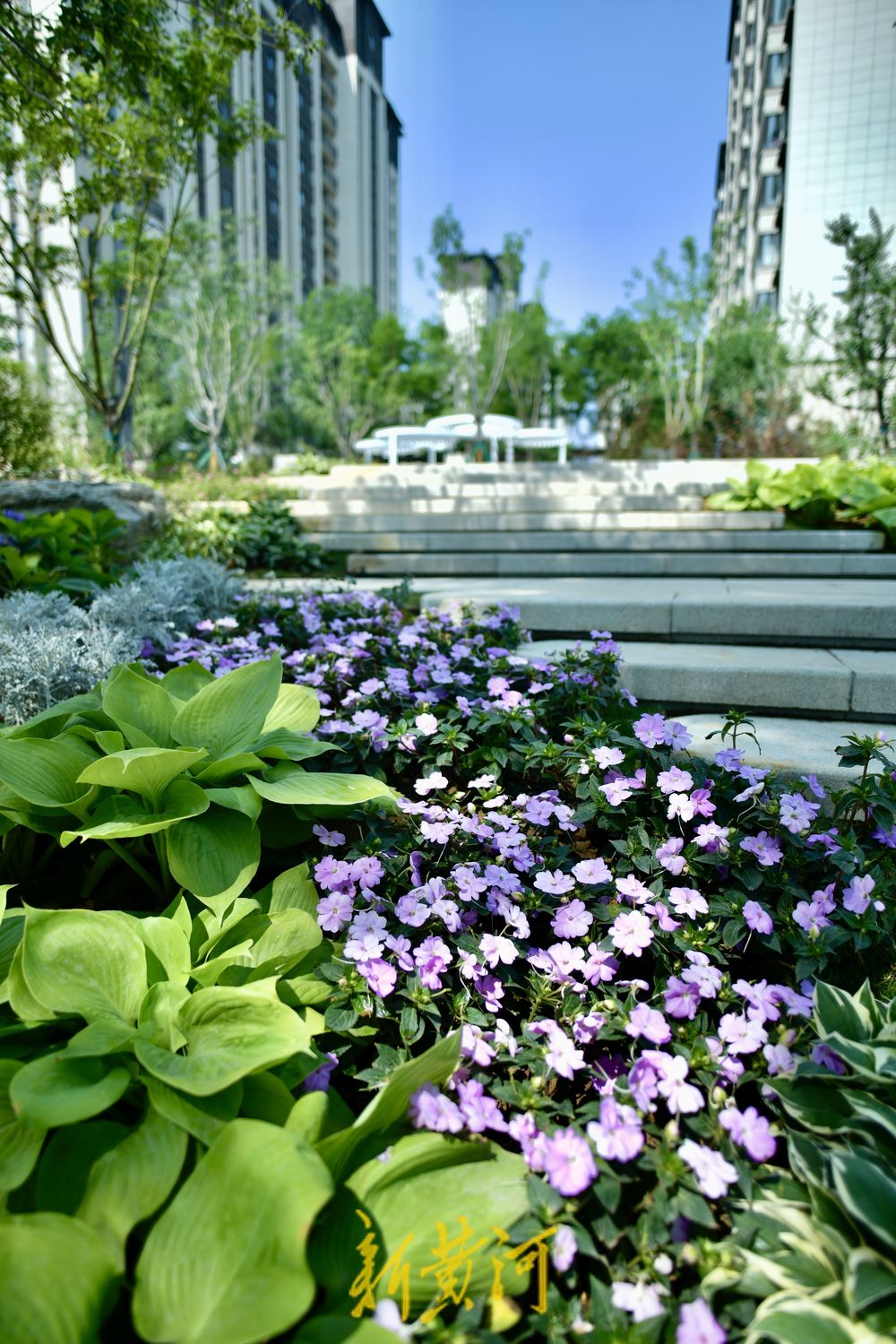 奥体中路旁新建公园 打造835平米的共享绿地