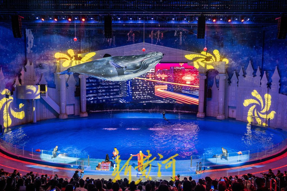 “泉”在济南过大年 