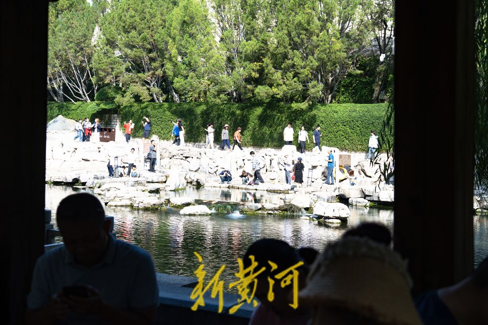 泉涌鱼欢庆佳节！济南黑虎泉畔乐享好时光