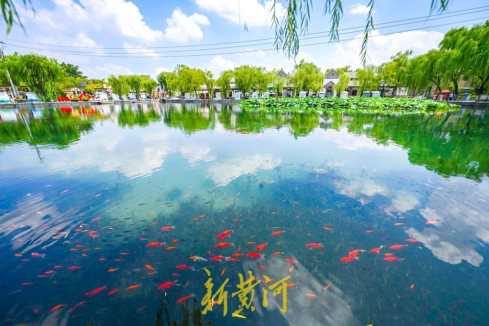蓝天白云高温重返，济南开启纯净盛夏之颜