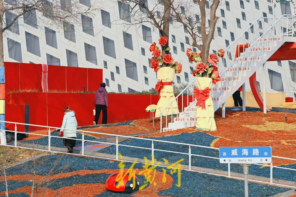 济南“七色花田”隆冬时节缤纷绽放