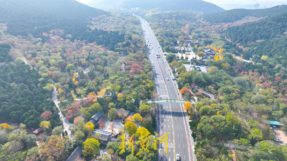 旅游路变身“初冬画廊” 千佛山南麓现层林尽染美景