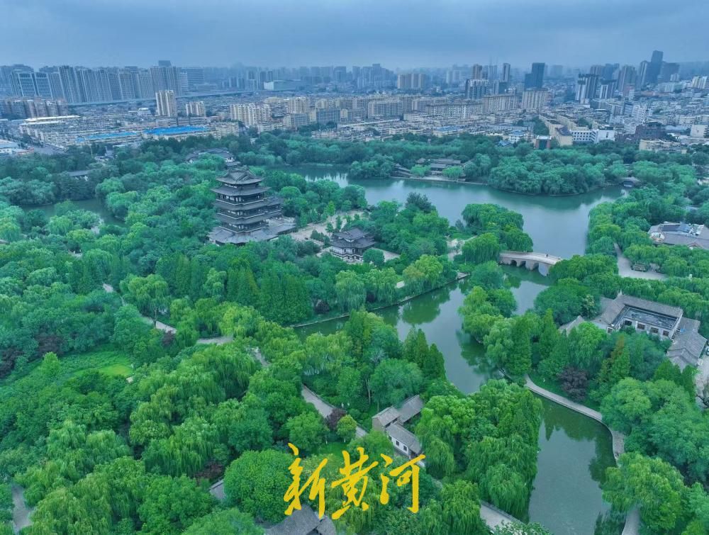 降雨降温消暑热 大明湖烟雨朦胧尽显水乡风韵