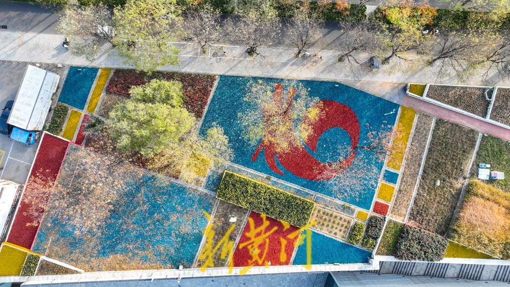 济南这处七彩花田迎来冬季版