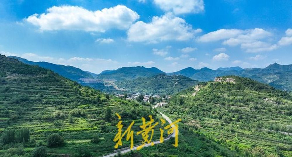 产业“金钥匙”邂逅数字“新赛道”，看“三农”发展的“济南答卷”