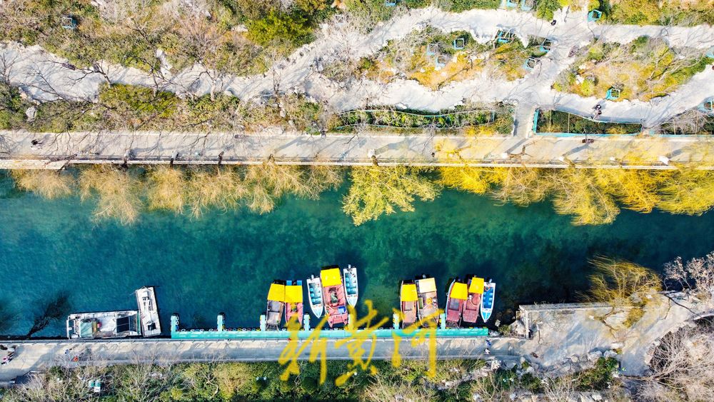 垂柳泛绿与碧水相伴，济南护城河春色渐浓