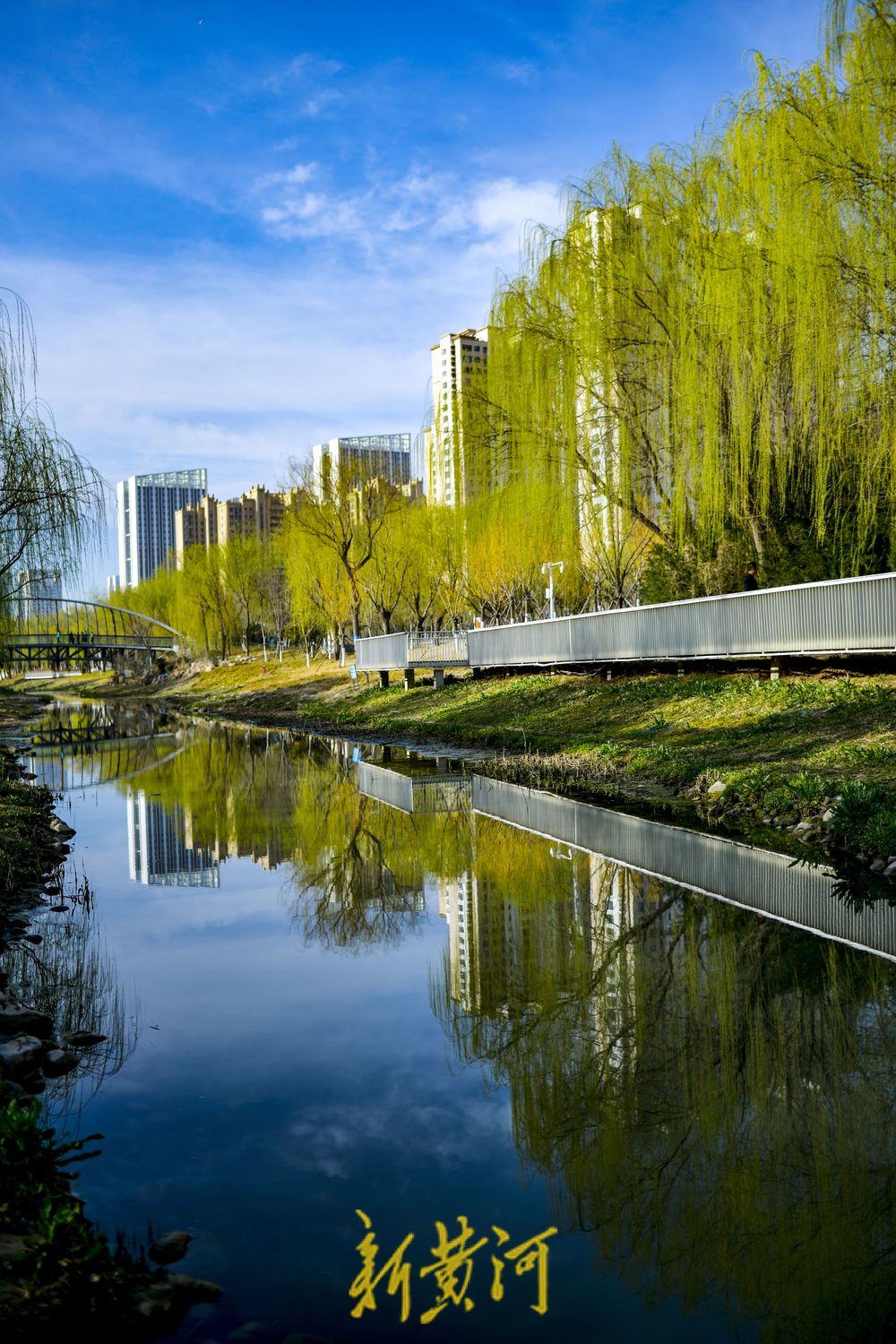腊山河全线披绿，呈现亲水生态景观带