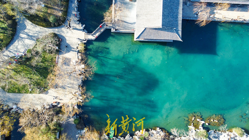 冬日暖阳映泉城 五龙潭碧水似丹青