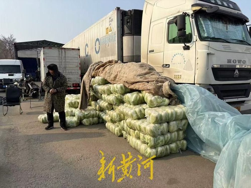 春节采购热“装满”菜篮子，记者实探济南农产品市场：白菜萝卜寓意好，带鱼虾仁成C位
