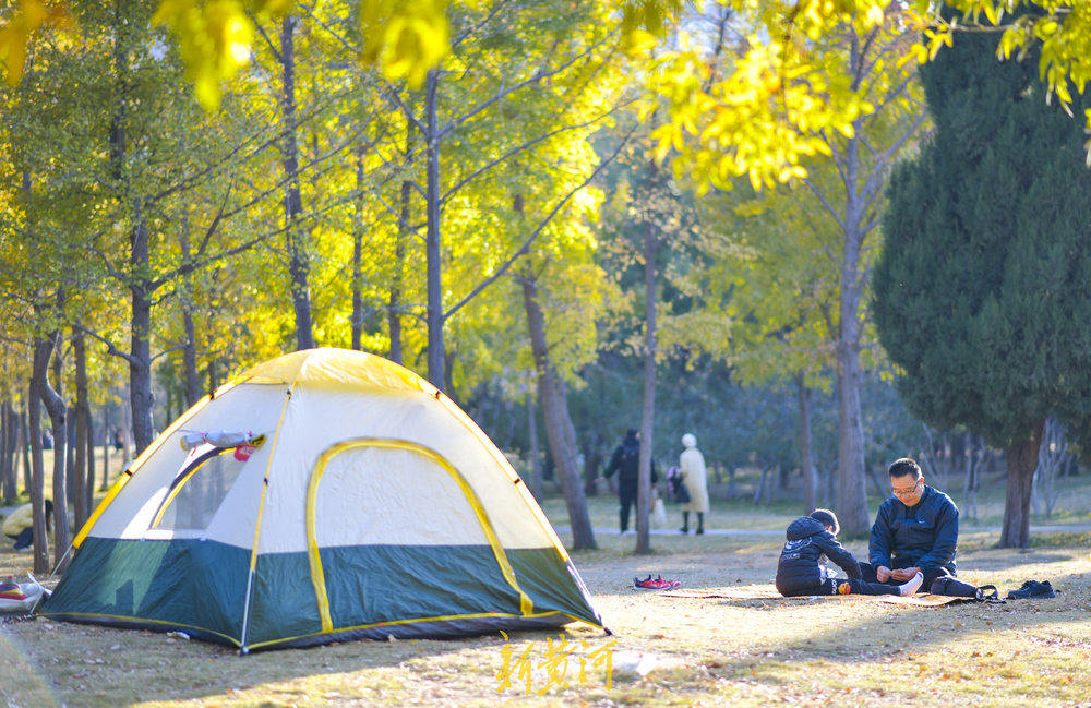 气温回升秋去秋又回  最美共享绿地感受初冬暖阳