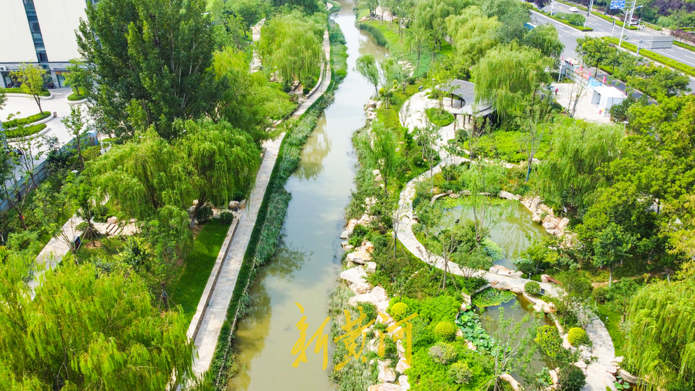 腊山河"双园"融合,凸显荷花莲花泉城特色 - 济南社会 - 舜网新闻