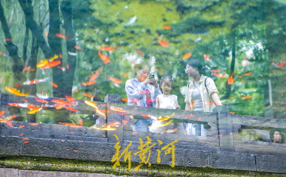 一年四季 泉在济南丨雨助泉涌！泉城众泉水位攀升，独特水景赛江南